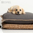 ΦΙΓΟΥΡΑ ΣΚΥΛΟΣ GOLDEN RETRIEVER ΠΟΛΥΡΕΖ. 32,2Χ18Χ9ΕΚ