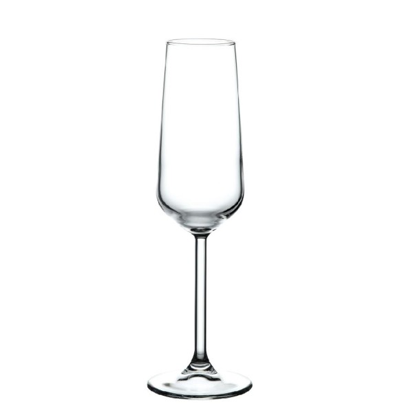 ALLEGRA CHAMPAGNE 195CC H: 22,6 D: 7 P/480 GB6.OB24 (smFA) | Συσκευασία 6 τμχ