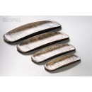 PINE WOOD ΓΟΝΔΟΛΑ HYBRID ΟΡΘΟΓ. 33,5Χ13,5ΕΚ. | Συσκευασία 6 τμχ