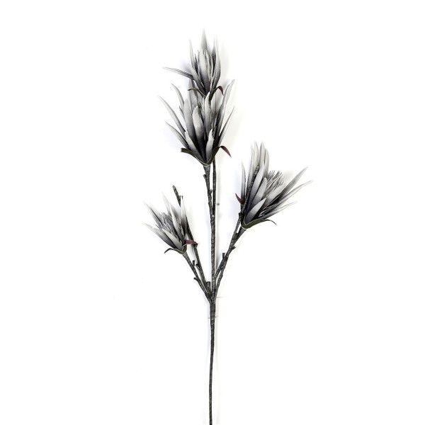 ΛΟΥΛΟΥΔΙ ΓΚΡΙ 100ΕΚ. | Συσκευασία 6 τμχ