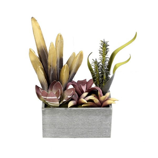 ΠΑΧΥΦΥΤΟ ΣΕ ΓΛΑΣΤΡΑ ΜΠΕΖ 38ΕΚ. | Συσκευασία 4 τμχ