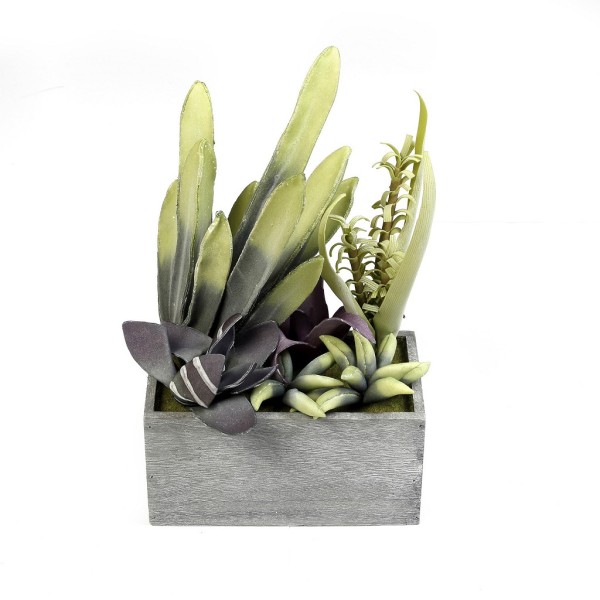 ΠΑΧΥΦΥΤΟ ΣΕ ΓΛΑΣΤΡΑ ΠΡΑΣΙΝΟ 38ΕΚ. | Συσκευασία 4 τμχ