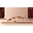 NUDE STEM ZERO CHAMPAGNE SET2 300CC H:26 P/288 GB2.OB12.