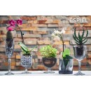 DIS. TOWER RED WINE TEMP. 220CC 11.2CM P/1296 FLX12 | Συσκευασία 12 τμχ