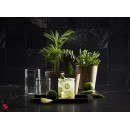 DIS. TINCAN COCKTAIL 490CC TEMP. D:7.9 H:12.25 PLT/1080 FLX12 | Συσκευασία 12 τμχ