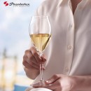 MONTE CARLO RED WINE 445CC 24.2EK. PLT/384 GB6.OB24 (smFA) | Συσκευασία 6 τμχ