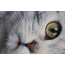 ΤΡΑΠΕΖΟΜΑΝΤΗΛΟ ΓΚΡΙ ''ΓΑΤΑ'' 120χ120ΕΚ.