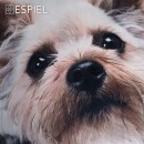 ΤΡΑΠΕΖΟΜΑΝΤΗΛΟ ''ΣΚΥΛΟΣ'' 120χ120ΕΚ.