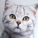 ΤΡΑΠΕΖΟΜΑΝΤΗΛΟ ΓΚΡΙ ''ΓΑΤΑ'' 120χ120ΕΚ.