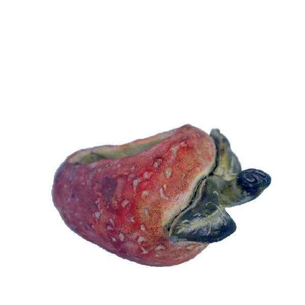 ΚΑΣΠΩ ''ΦΡΑΟΥΛΑ'' ΚΕΡΑΜ. 20ΕΚ | Συσκευασία 2 τμχ