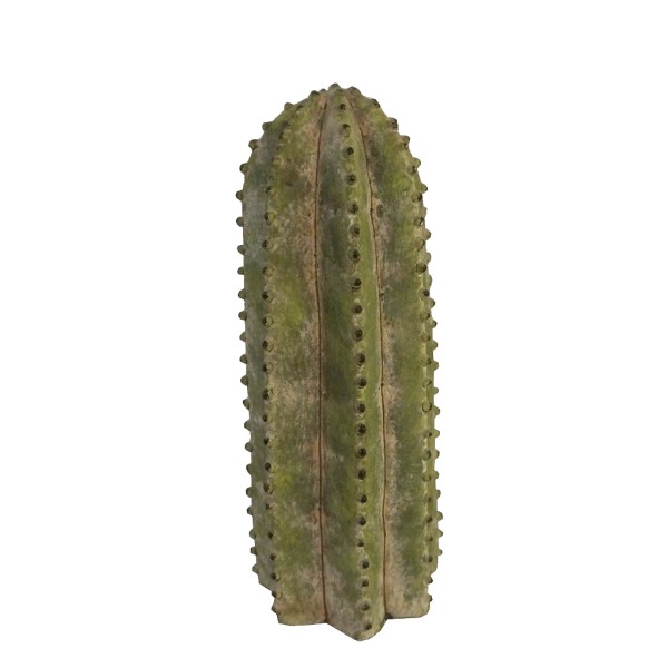 ΚΑΚΤΟΣ ΚΕΡΑΜ. 32ΕΚ | Συσκευασία 2 τμχ