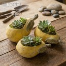 ΚΑΣΠΩ ''ΑΧΛΑΔΙ'' ΚΕΡΑΜ. 23ΕΚ | Συσκευασία 2 τμχ