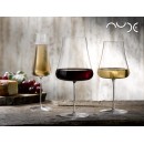 NUDE STEM ZERO CHAMPAGNE SET2 300CC H:26 P/288 GB2.OB12.