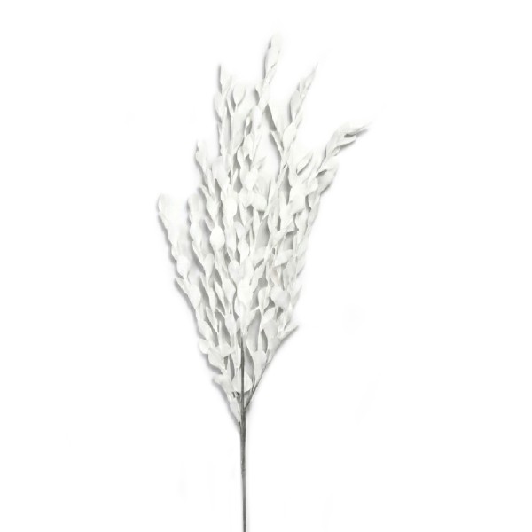 ΛΟΥΛΟΥΔΙ ΛΕΥΚΟ 135ΕΚ. | Συσκευασία 6 τμχ