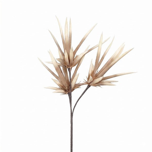 ΛΟΥΛΟΥΔΙ ΜΕ ΚΛΑΔΙΑ ΚΑΦΕ 90ΕΚ. | Συσκευασία 6 τμχ