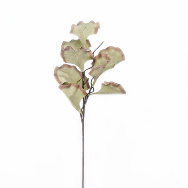 ΛΟΥΛΟΥΔΙ ΠΡΑΣΙΝΟ 100ΕΚ. | Συσκευασία 6 τμχ