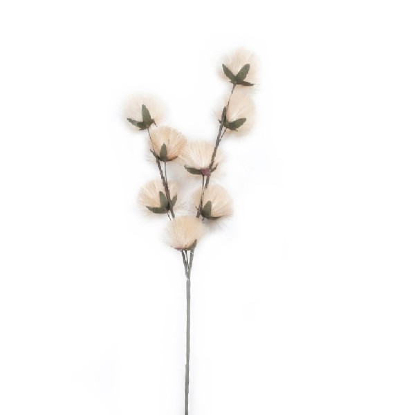 ΛΟΥΛΟΥΔΙ PAMPASS  ΜΠΕΖ 90ΕΚ. | Συσκευασία 8 τμχ