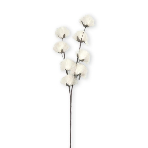 ΛΟΥΛΟΥΔΙ PAMPASS  ΛΕΥΚΟ 90ΕΚ. | Συσκευασία 8 τμχ