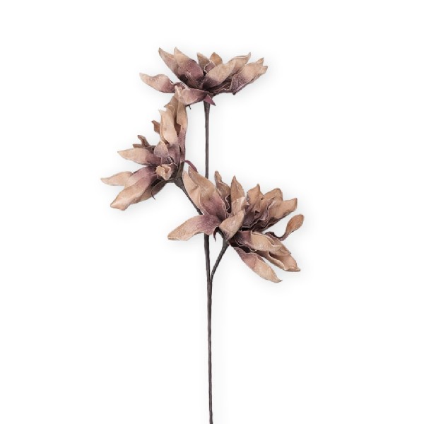 ΛΟΥΛΟΥΔΙ ΜΕ ΚΛΑΔΙΑ ΚΑΦΕ 110ΕΚ. | Συσκευασία 4 τμχ