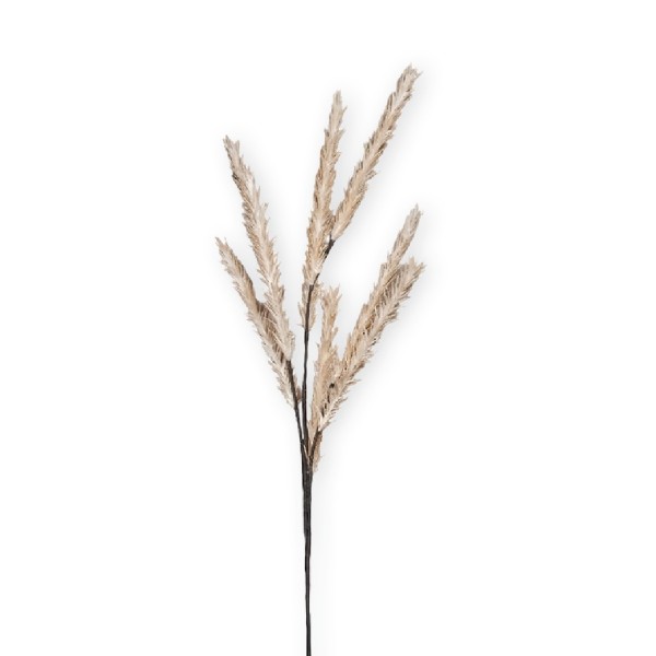 ΛΟΥΛΟΥΔΙ ΜΕ ΚΛΑΔΙΑ ΜΠΕΖ 120ΕΚ. | Συσκευασία 12 τμχ