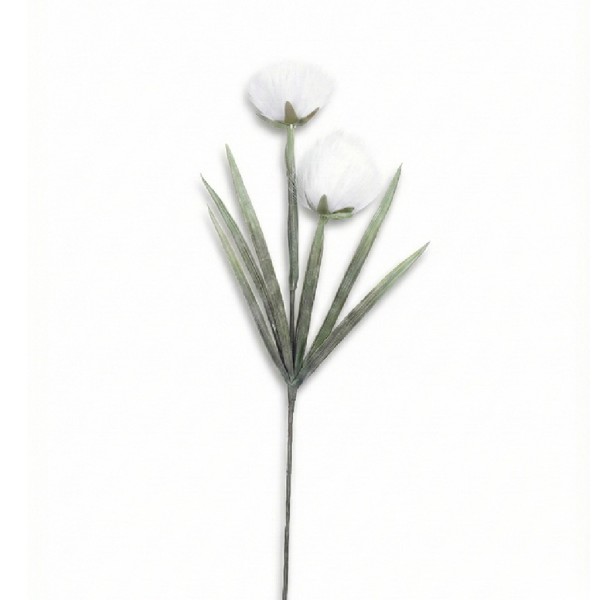 ΛΟΥΛΟΥΔΙ PAMPASS  ΜΕ ΚΛΑΔΙΑ ΛΕΥΚΟ 93ΕΚ. | Συσκευασία 12 τμχ