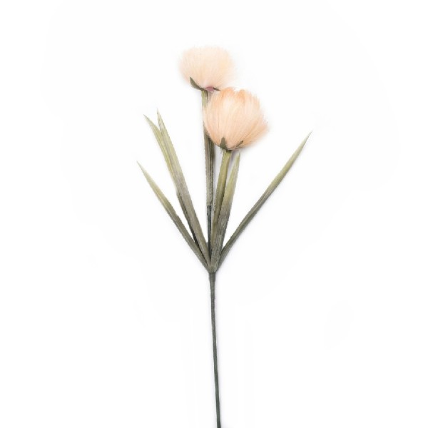 ΛΟΥΛΟΥΔΙ PAMPASS  ΜΕ ΚΛΑΔΙΑ ΜΠΕΖ 93ΕΚ. | Συσκευασία 12 τμχ