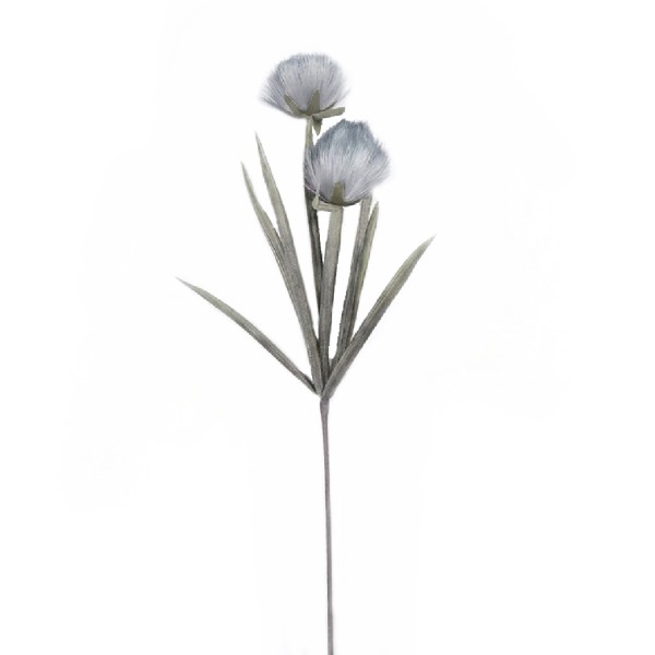 ΛΟΥΛΟΥΔΙ PAMPASS  ΜΕ ΚΛΑΔΙΑ ΓΚΡΙ 93ΕΚ. | Συσκευασία 12 τμχ