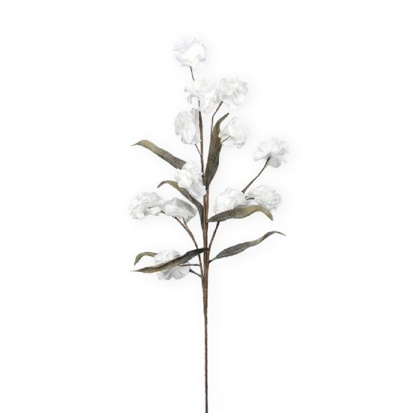 ΛΟΥΛΟΥΔΙ ΜΕ ΚΛΑΔΙΑ ΛΕΥΚΟ 110ΕΚ. | Συσκευασία 8 τμχ