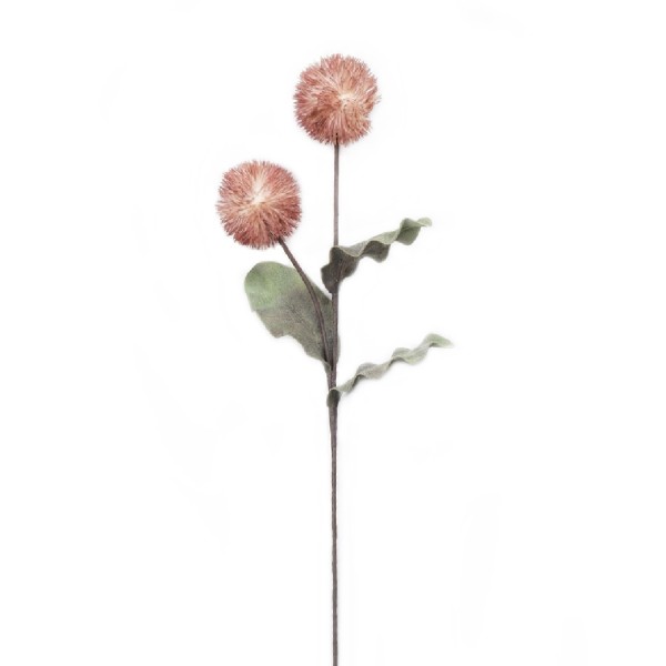 ΛΟΥΛΟΥΔΙ ΚΑΦΕ 90ΕΚ. | Συσκευασία 8 τμχ