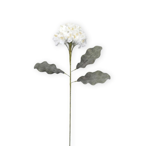 ΛΟΥΛΟΥΔΙ ΛΕΥΚΟ 90ΕΚ. | Συσκευασία 8 τμχ