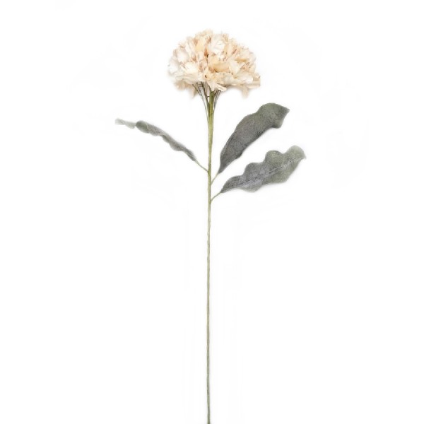 ΛΟΥΛΟΥΔΙ ΠΟΡΤΟΚΑΛΙ 90ΕΚ. | Συσκευασία 8 τμχ