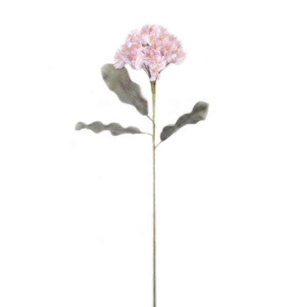 ΛΟΥΛΟΥΔΙ ΜΩΒ 90ΕΚ. | Συσκευασία 8 τμχ