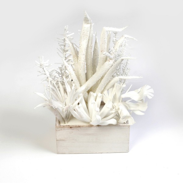 ΠΑΧΥΦΥΤΟ ΣΕ ΓΛΑΣΤΡΑ ΛΕΥΚΟ 45ΕΚ. | Συσκευασία 4 τμχ