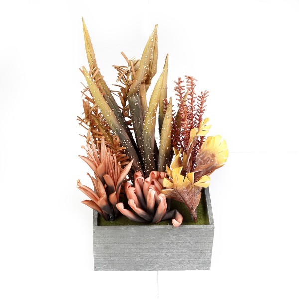 ΠΑΧΥΦΥΤΟ ΣΕ ΓΛΑΣΤΡΑ ΣΟΜΟΝ 45ΕΚ. | Συσκευασία 4 τμχ