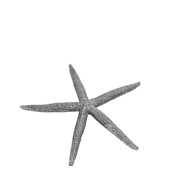 ΑΣΤΕΡΙΑΣ ΑΣΗΜΙ  12,5X11X1,5CM. | Συσκευασία 6 τμχ