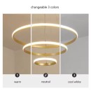 SE LED 60 DAMITA GOLD PENDANT 60x40x20cm 57W 3CCT WITH MEMORY IP20 2 YEARS WARRANTY A1