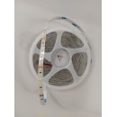 SE-ST10-3K LED STRIP 10W 24V 3000K 120Chips/m  8mm 5 YEARS WARRANTY PRICE PER METER