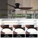  SE LED F100 WINDY BLACK-BROWN FAN 30W*2 SMART WITH CONTROL 100x100x50cm 3000k-6500k 85-265V 2 