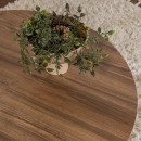 Τραπεζάκι σαλονιού σετ 2 τμχ Moira Megapap χρώμα καρυδί Ø90x41εκ.