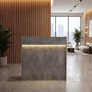 Γραφείο υποδοχής - reception Wilko Megapap με LED χρώμα γκρι σκυροδέματος 113,6x42x110εκ.