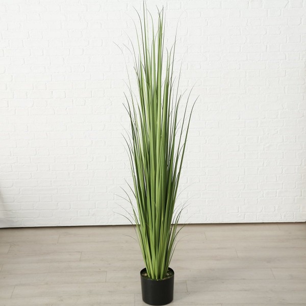 ΦΥΤΟ ΓΡΑΣΙΔΙ Sir  d50 H182cm PVC ΠΡΑΣΙΝΟ