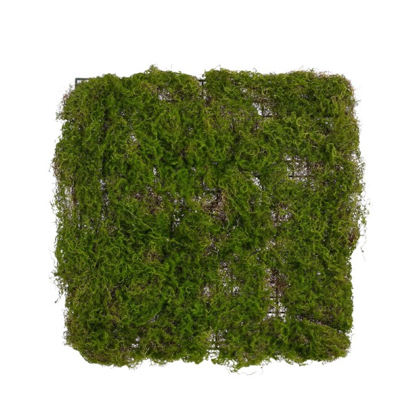 ΓΡΑΣΙΔΙ ΕΠΙΦΑΝΕΙΑ ΣΚ. ΠΡΑΣΙΝΟ 50Χ50Χ4cm