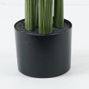 Διακοσμητικό φυτό σε γλάστρα Aglaonema Inart πράσινο Φ80x150εκ