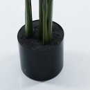 Διακοσμητικό φυτό σε γλάστρα Calathea Inart πράσινο Φ68x120εκ