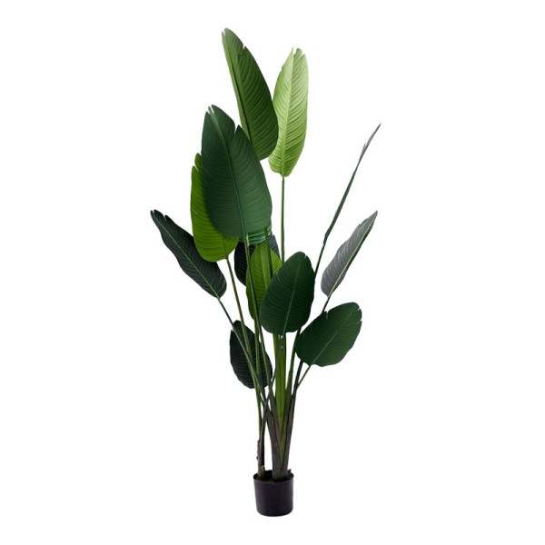 Διακοσμητικό φυτό Palm tree σε γλάστρα Inart πράσινο pp Υ180εκ