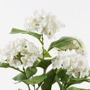 Διακοσμητικό φυτό σε γλάστρα Hydrangea Inart λευκό Φ35x50εκ