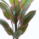 Διακοσμητικό φυτό σε γλάστρα Calathea Inart πράσινο Φ68x120εκ