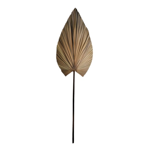 Διακοσμητικό φύλλο Leafen pakoworld φυσικό palm leaf 134εκ