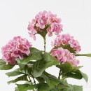 Διακοσμητικό φυτό σε γλάστρα Hydrangea Inart ροζ Φ35x50εκ