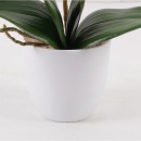 Διακοσμητικό φυτό σε γλάστρα Οrchid Beauty Inart 30x13x46εκ